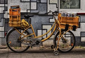 Lastenfahrrad Hund