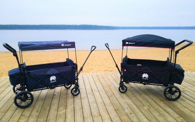 kleiner Bollerwagen oder großer Bollerwagen