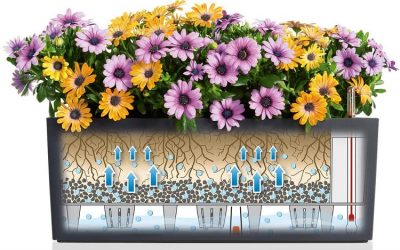 Blumenkasten mit Wasserspeicher