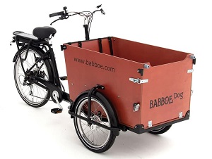 Lastenfahrrad Hund