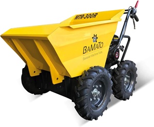 Minidumper Test